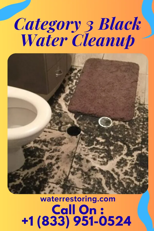 Category 3 Black Water Cleanup in Northport, WI