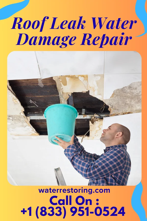 Roof Leak Water Damage Repair in Northport, WI