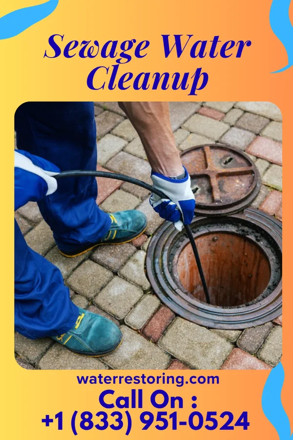 Sewage Water Cleanup in Northport, WI